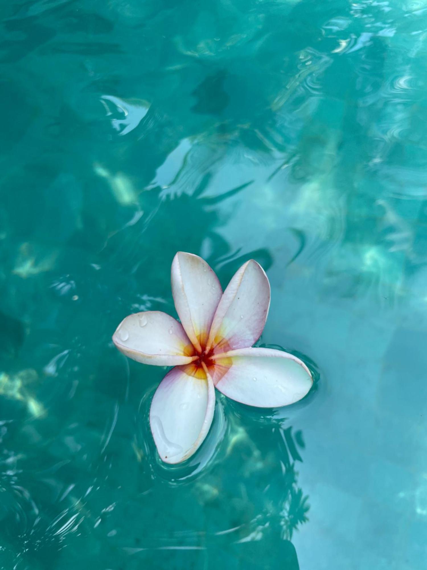 Umakayu Joglo Villa Canggu - Boutique Hotel Екстер'єр фото